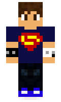 hort minecraft skin