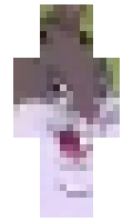 ChunkyRacc00n minecraft skin
