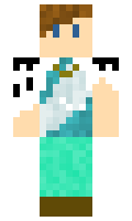 jef321 minecraft skin
