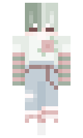 popucha minecraft skin