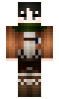 ve5 minecraft skin