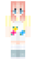 645e4a23d73296 minecraft skin