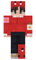 zawashint minecraft skin
