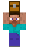 ansontang423 minecraft skin