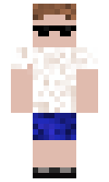 64bb8f9600886d minecraft skin