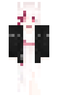 panir minecraft skin