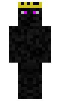 zCamping minecraft skin