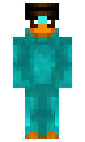 PchamTaczki minecraft skin