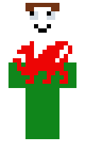 PlaidCymru minecraft skin