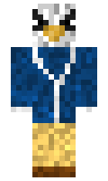 J23 minecraft skin