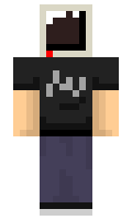 lanerj minecraft skin