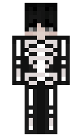 65273c2ca61e66 minecraft skin