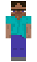 Goooseh minecraft skin