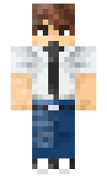 ic22487 minecraft skin