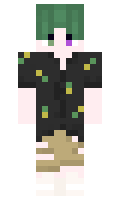 65661572565934 minecraft skin