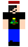 LiLmOnK208 minecraft skin