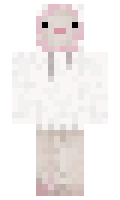 AgentIota minecraft skin