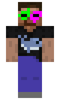 65bfe42b493243 minecraft skin