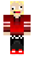 65e2315bb0ae03 minecraft skin