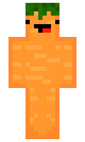 Carrot37 minecraft skin