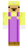 1627 minecraft skin