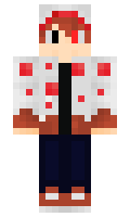 Dmanskits minecraft skin