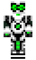 RandomOn minecraft skin