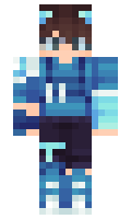 6611c4871cdcc1 minecraft skin