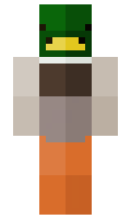 6658b444ddf86b minecraft skin