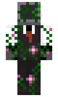 SushyTurtle minecraft skin