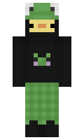 nsner minecraft skin