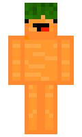 667c6b13acd357 minecraft skin