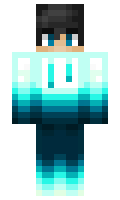 Playerpro minecraft skin