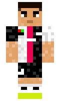 Erwin25 minecraft skin