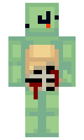 turtleburdle minecraft skin