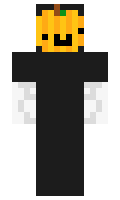 672d26b2d48bcc minecraft skin