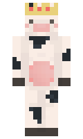 Bakkeru minecraft skin