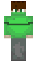 ninuj minecraft skin