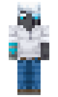 675a841f6a6f39 minecraft skin