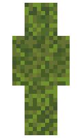 Lachsblatt663 minecraft skin