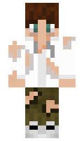 HomelessDog minecraft skin