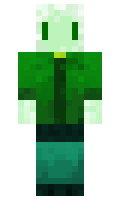 677c69bbf12fc2 minecraft skin