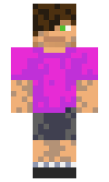 677f5648764f17 minecraft skin