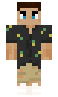 67869f30ee1aac minecraft skin