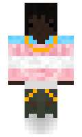 Tacos minecraft skin