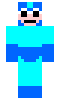 flit minecraft skin
