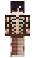 tgllgamer minecraft skin