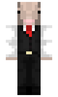 Amidillo minecraft skin