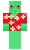 67cb5587ba7ef9 minecraft skin