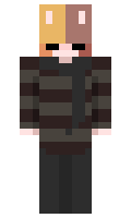 amprokool minecraft skin